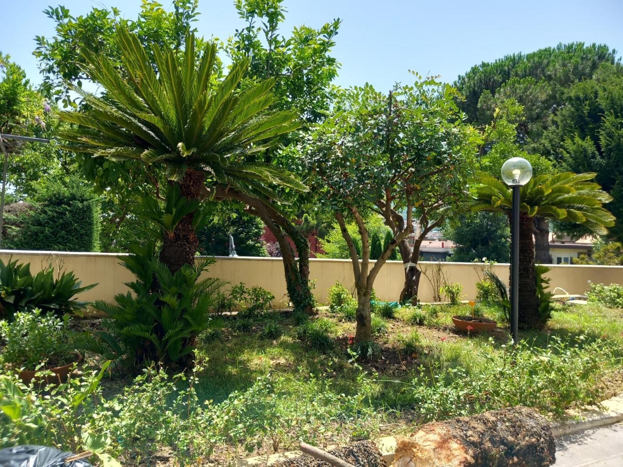 Villa Maria Cristina D'Amico Cava deʼ Tirreni Exterior foto